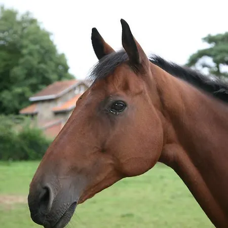 Hotel Domaine De Chantemerle Moutiers-Sous-Chantemerle