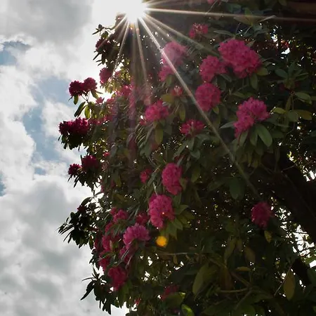 Отель Domaine De Chantemerle 3*