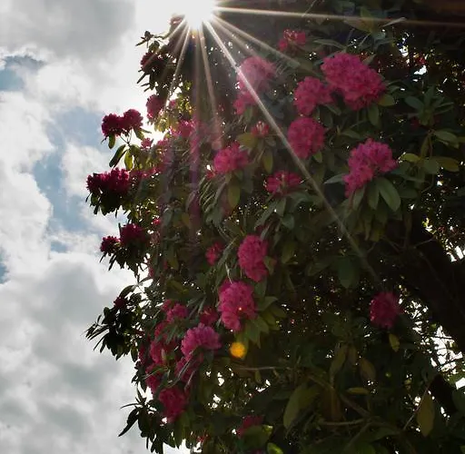 Hotel Domaine De Chantemerle 3*